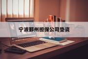 宁波鄞州担保公司垫资