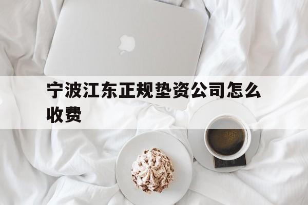 宁波江东正规垫资公司怎么收费