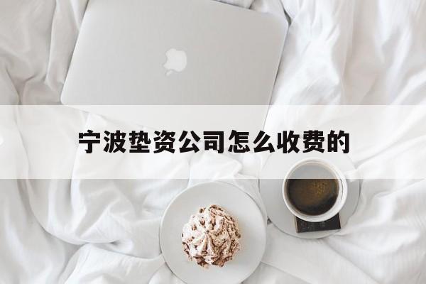 宁波垫资公司怎么收费的