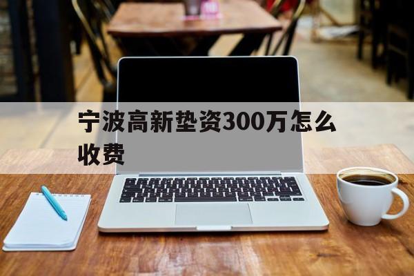 宁波高新垫资300万怎么收费