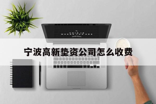 宁波高新垫资公司怎么收费