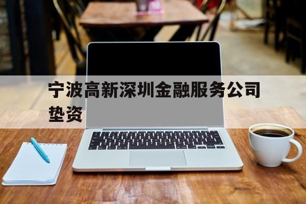 宁波高新深圳金融服务公司垫资