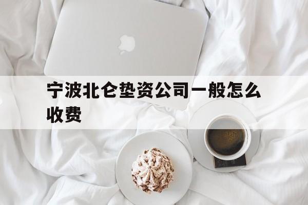 宁波北仑垫资公司一般怎么收费