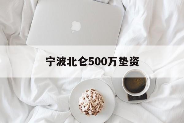 宁波北仑500万垫资