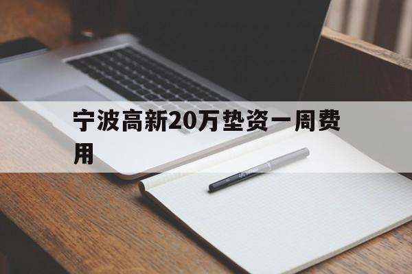 宁波高新20万垫资一周费用