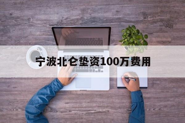 宁波北仑垫资100万费用