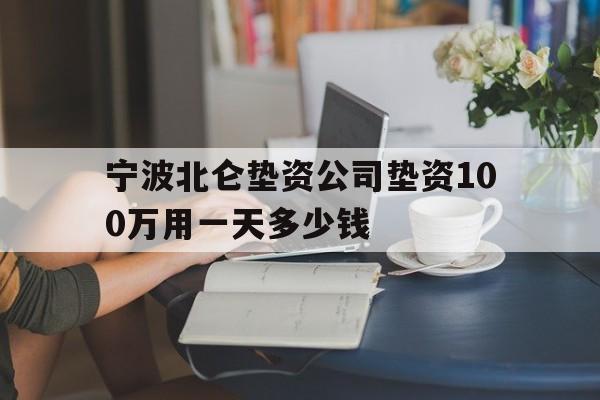 宁波北仑垫资公司垫资100万用一天多少钱