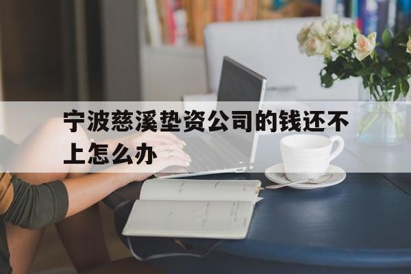 宁波慈溪垫资公司的钱还不上怎么办